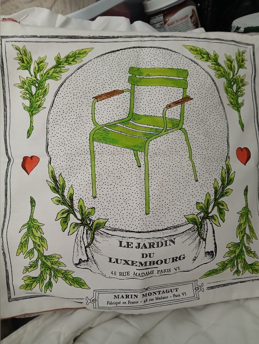 MARIN MONTAGUT of PARIS Le Jardin du Luxembourg Pillow Cover - Green Chair Print